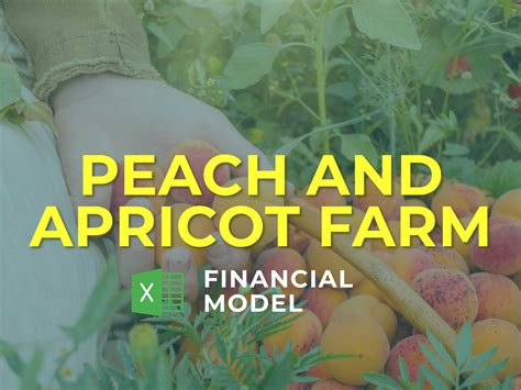 Peach and Apricot Farm Business Plan